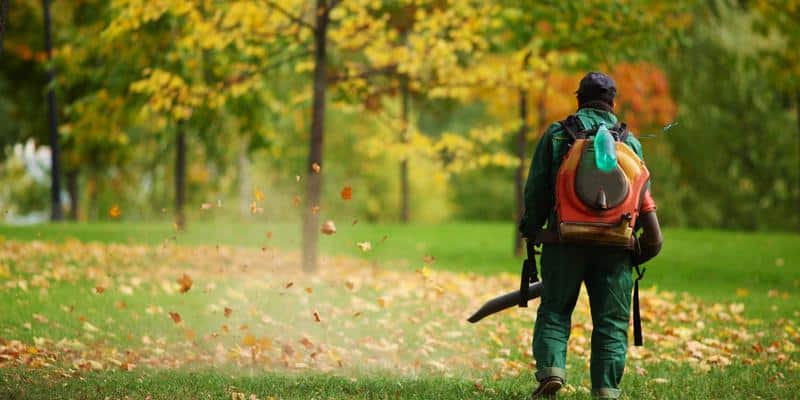 G & M employee clearing leaves with a leaf blower